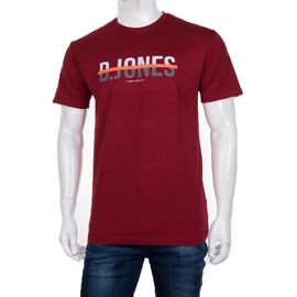 Фотография Футболка мужская 3707-064-1 р.M-2XL "BIG clothes" недорого оптом от прямого поставщика