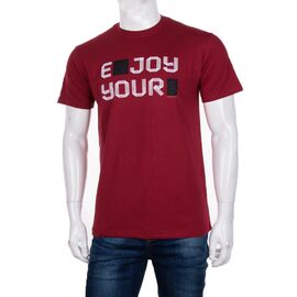 Фотография Футболка мужская 3707-103-2 р.M-2XL "BIG clothes" недорого оптом от прямого поставщика