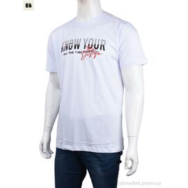 Фотография Футболка мужская Лето 3707-155 white (4 шт. р.сетка M-2XL) "BIG" недорого оптом от прямого поставщика