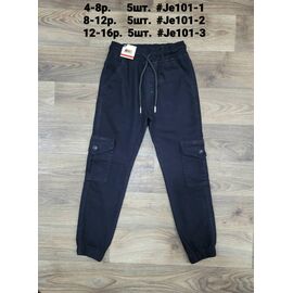 Фотография Джоггеры детские на мальчика JE101-2 navy р.8-12 "iBamBino" недорого оптом от прямого поставщика