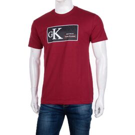 Футболка чоловіча 3707-0083-2 р.M-2XL "BIG clothes" недорого оптом від прямого постачальника