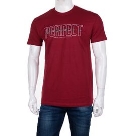 Фотография Футболка мужская 3707-068-1 р.M-2XL "BIG clothes" недорого оптом от прямого поставщика