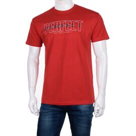 Фотография Футболка мужская 3707-068-2 р.M-2XL "BIG clothes" недорого оптом от прямого поставщика