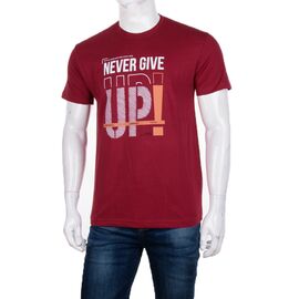 Футболка чоловіча 3707-081-2 р.M-2XL "BIG clothes" недорого оптом від прямого постачальника