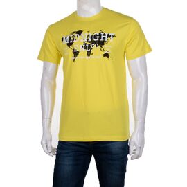 Футболка чоловіча 3707-090-2 р.M-2XL "BIG clothes" недорого оптом від прямого постачальника