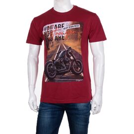 Футболка чоловіча 3707-098 р.M-2XL "BIG clothes" недорого оптом від прямого постачальника