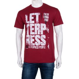 Футболка чоловіча 3707-108 р.M-2XL "BIG clothes" недорого оптом від прямого постачальника