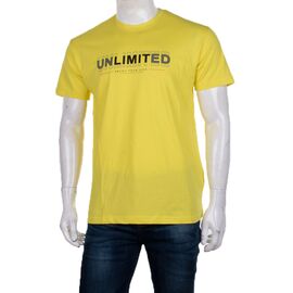 Футболка чоловіча 3707-76-3 р.M-2XL "BIG clothes" недорого оптом від прямого постачальника