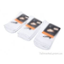 Фотография Носочки для детей Весна/осень T99 white (12 шт. р.сетка 34-36) "Textile" недорого оптом от прямого поставщика