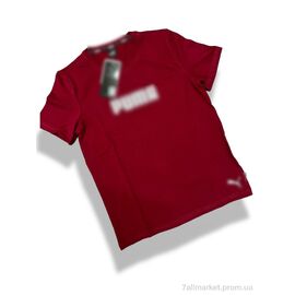 Футболка чоловіча Літо Pu-s-1-2 (5 шт. р.сіткаS-2XL) "Vegas" недорого оптом від прямого постачальника