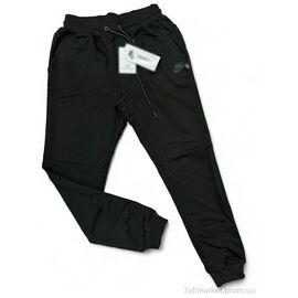 Фотография Спортивные брюки мужские Весна/осень n-v493055 (5 шт. р.сетка S-2XL) "Vegas" недорого оптом от прямого поставщика