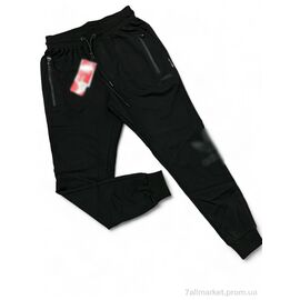 Спортивні штани чоловічі Весна/осінь ad-2017491 (5 шт. р.сіткаS-2XL) "Vegas" недорого оптом від прямого постачальника