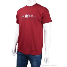 Футболка чоловіча Літо 3707-0064-1 bordo (4 шт. р.сіткаM-2XL) "Мир" недорого оптом від прямого постачальника