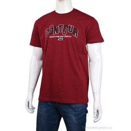 Футболка чоловіча Літо 3707-150-2 bordo (4 шт. р.сіткаM-2XL) "Мир" недорого оптом від прямого постачальника