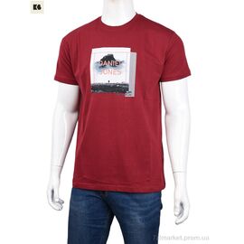 Футболка чоловіча Літо 3707-074-2 bordo (4 шт. р.сіткаM-2XL) "BIG" недорого оптом від прямого постачальника