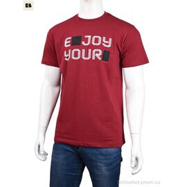 Футболка чоловіча Літо 3707-103-2 bordo (4 шт. р.сіткаM-2XL) "BIG" недорого оптом від прямого постачальника