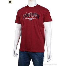 Футболка чоловіча Літо 3707-150-2 bordo (4 шт. р.сіткаM-2XL) "BIG" недорого оптом від прямого постачальника