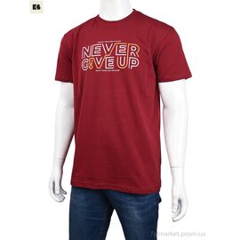 Футболка чоловіча Літо 3707-77-1 bordo (4 шт. р.сіткаM-2XL) "BIG" недорого оптом від прямого постачальника