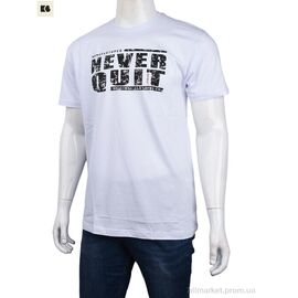 Футболка чоловіча Літо 3707-0082-3 white (4 шт. р.сіткаM-2XL) "BIG" недорого оптом від прямого постачальника