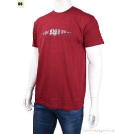 Футболка чоловіча Літо 3707-0064-1 bordo (4 шт. р.сіткаM-2XL) "BIG" недорого оптом від прямого постачальника