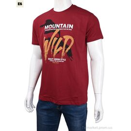 Футболка чоловіча Літо 3707-0085-1 bordo (4 шт. р.сіткаM-2XL) "BIG" недорого оптом від прямого постачальника