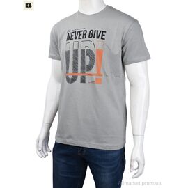 Футболка чоловіча Літо 3707-081-1 grey (4 шт. р.сіткаM-2XL) "BIG" недорого оптом від прямого постачальника