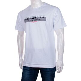 Футболка чоловіча 3733-4001-2 р.S-2XL "BIG clothes" недорого оптом від прямого постачальника