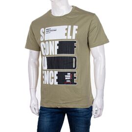 Футболка чоловіча 3733-4007-2 р.S-2XL "BIG clothes" недорого оптом від прямого постачальника