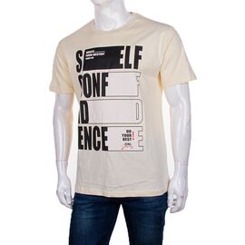 Футболка чоловіча 3733-4007-3 р.S-2XL "BIG clothes" недорого оптом від прямого постачальника