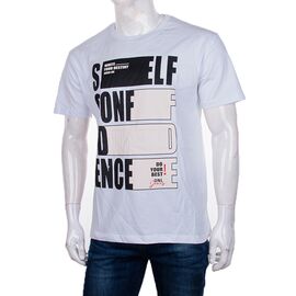 Футболка чоловіча 3733-4007-4 р.S-2XL "BIG clothes" недорого оптом від прямого постачальника