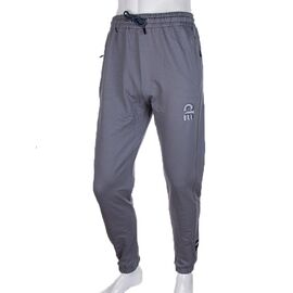 Штани спортивні чоловічі 3735-2017-2 р.S-2XL "BIG clothes" недорого оптом від прямого постачальника