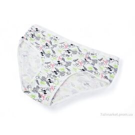 Фотография Трусы Весна/осень 005-01-3 white (08990) (3XL) (12 шт. р.сетка One size) "Obuvok" недорого оптом от прямого поставщика