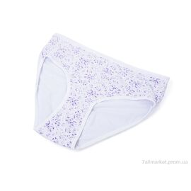 Фотография Трусы Весна/осень 005-01-2 white (08990) (3XL) (12 шт. р.сетка One size) "Obuvok" недорого оптом от прямого поставщика