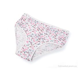 Фотография Трусы Весна/осень 005-01-1 white (08990) (3XL) (12 шт. р.сетка One size) "Obuvok" недорого оптом от прямого поставщика