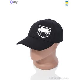 Фотография Кепка для мужчин Весна/осень HN001-5 black (2 шт. р.сетка One size) "Reluna Group" недорого оптом от прямого поставщика