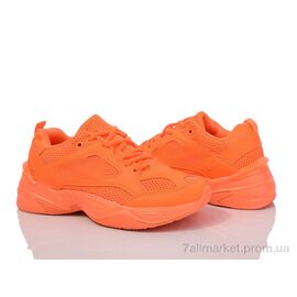 Кросівки жіночі модні Весна/осінь HD47-1898-9 orange (8 пар р.36-41) "Violeta" недорого оптом від прямого постачальника