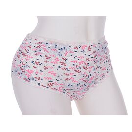 Фотография Трусы женские 005-01-1  (08990) р.2XL "Obuv OK2" недорого оптом от прямого поставщика