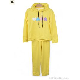 Фотография Спортивный костюм детский Весна/осень 3750-804-2 yellow (5 шт. р.сетка 110-150) "BIG" недорого оптом от прямого поставщика