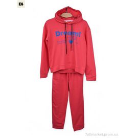Фотография Спортивный костюм детский Весна/осень 3750-805-1 d.pink (5 шт. р.сетка 110-150) "BIG" недорого оптом от прямого поставщика