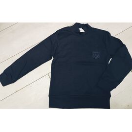 Фотография Гольф детский на мальчика 8779 navy р.6-14 "iBamBino" недорого оптом от прямого поставщика