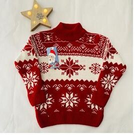 Фотография Свитер детский на мальчика 5390 wine р.2-5 "iBamBino" недорого оптом от прямого поставщика