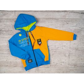 Фотография Худи детский на мальчика 1862 blue р.5-8 "iBamBino" недорого оптом от прямого поставщика