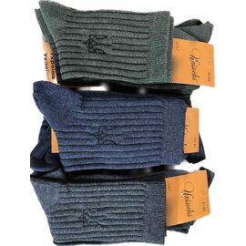 Шкарпетки чоловічі 1863 mix р.41-45 "Алия" недорого оптом від прямого постачальника