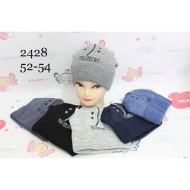Шапка дитяча зимова унісекс 2428 mix зима р.52-54 "Red Hat" недорого оптом від прямого постачальника