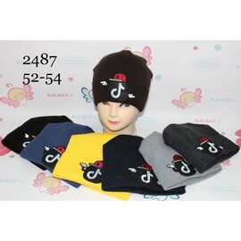 Шапка дитяча зимова унісекс 2487 mix зима р.52-54 "Red Hat" недорого оптом від прямого постачальника