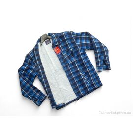 Чоловіча сорочка Зима 009-5 (10 шт. р.сіткаM/L-3XL/4XL) "Verton" недорого оптом від прямого постачальника