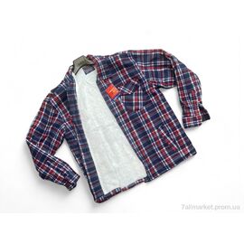 Чоловіча сорочка Зима 009-6 (10 шт. р.сіткаM/L-3XL/4XL) "Verton" недорого оптом від прямого постачальника