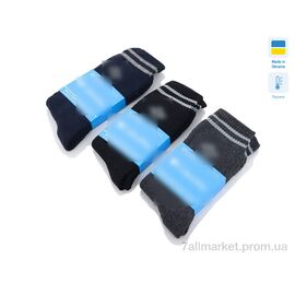 Фотография Носки для мужчин Зима 06 термо mix (12 шт. р.сетка 41-46) "Textile" недорого оптом от прямого поставщика