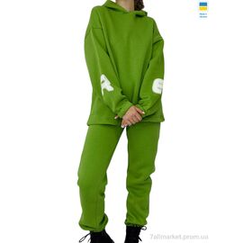 Фотография Спортивный костюм женский Зима 00305 світло-зелений (3 шт. р.сетка S-L) "Kram" недорого оптом от прямого поставщика