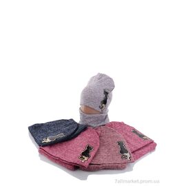 Жіноча шапка Зима KA466 комплект mix (5 шт. р.сітка50-52) "Red Hat" недорого оптом від прямого постачальника